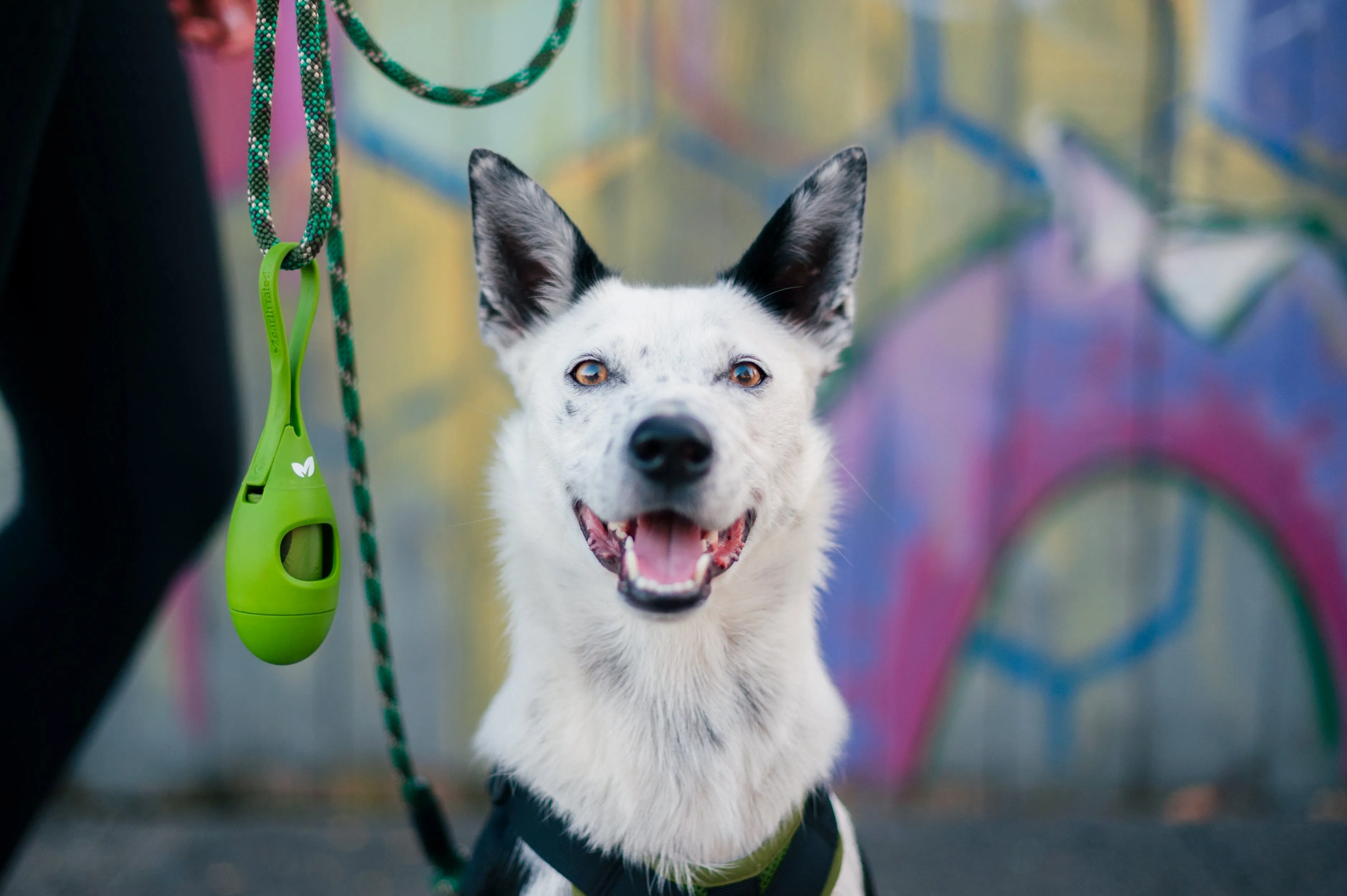 Earth Rated Leash Dispenser 2.0  with Unscented Waste Bags